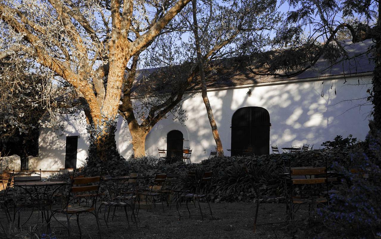 Mooiplaas Wine Estate Apartment Stellenbosch Ngoại thất bức ảnh