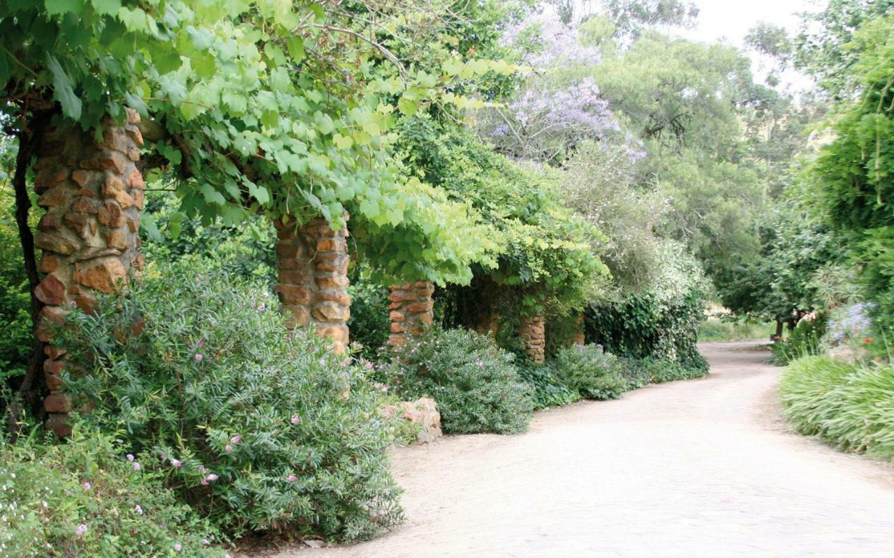 Mooiplaas Wine Estate Apartment Stellenbosch Ngoại thất bức ảnh