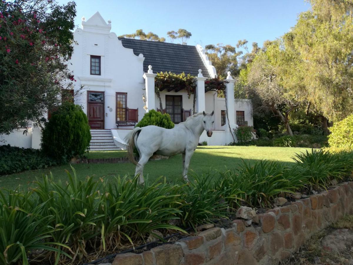 Mooiplaas Wine Estate Apartment Stellenbosch Ngoại thất bức ảnh