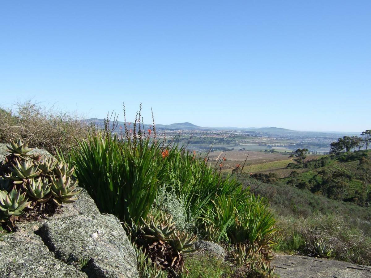Mooiplaas Wine Estate Apartment Stellenbosch Ngoại thất bức ảnh